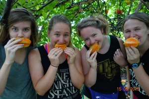 Enjoying some star fruit right off the tree - near the Pavon well